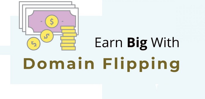 Earn with domain flipping