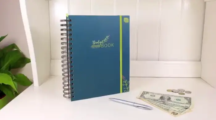 boxclever press budget planner