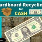 recycle cardboard for money