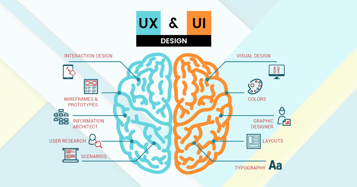 User Interface and Experience