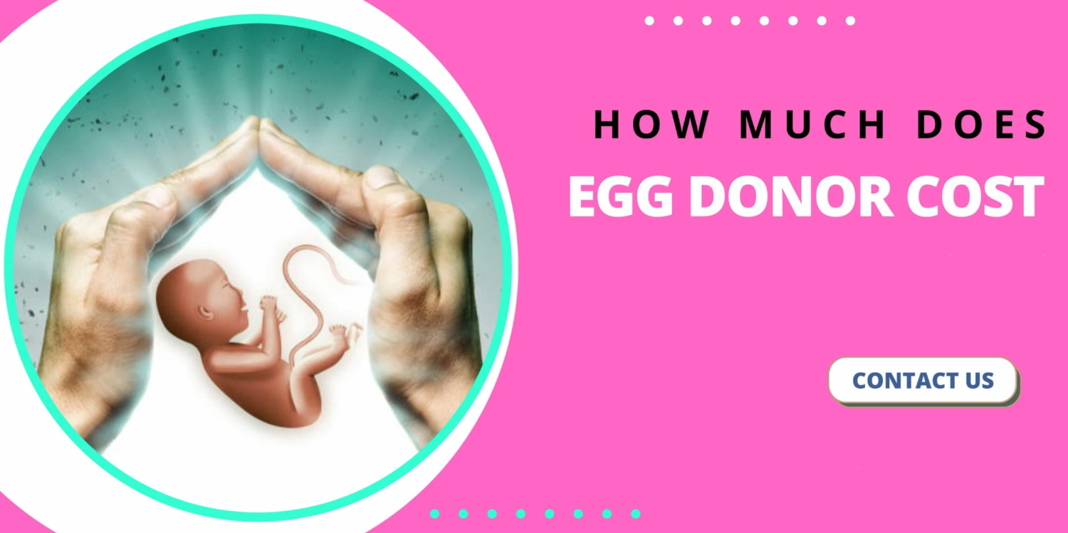 How much money does an egg donor make throughout their life