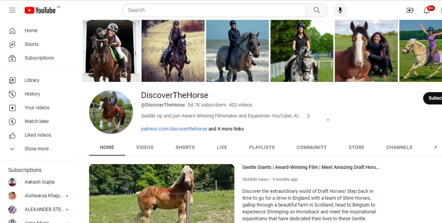 Horse YouTube Channel or Blogs